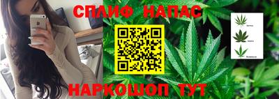 мет Дубна
