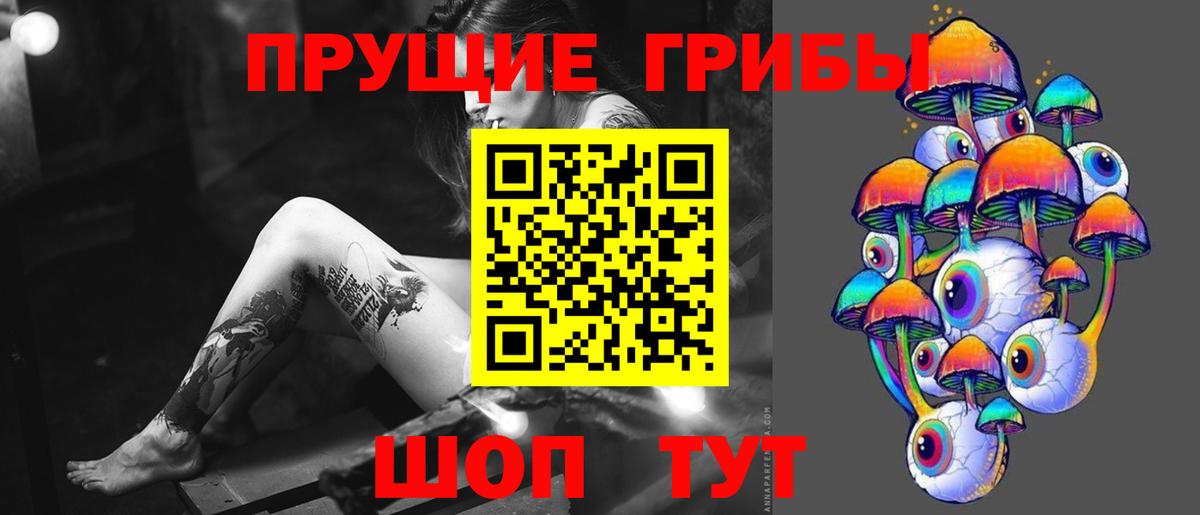 Псилоцибиновые грибы GOLDEN TEACHER Шелехов